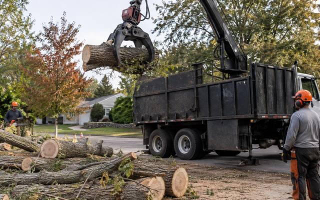 Crew taking down a large yard tree in sections during a tree removal in Malvern